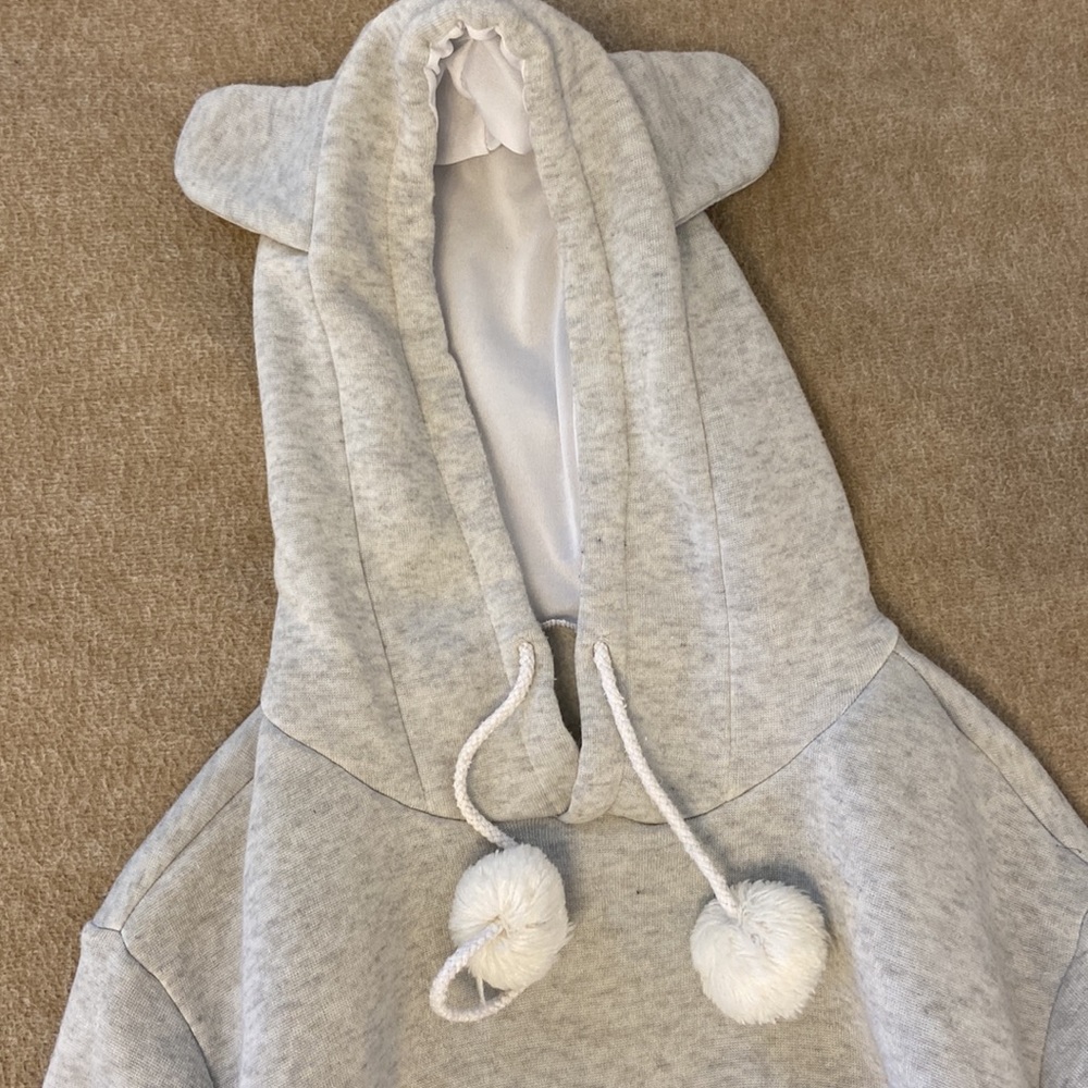 Gray Cat hoodie for carrying kittens/small cats - Picture 4 of 7